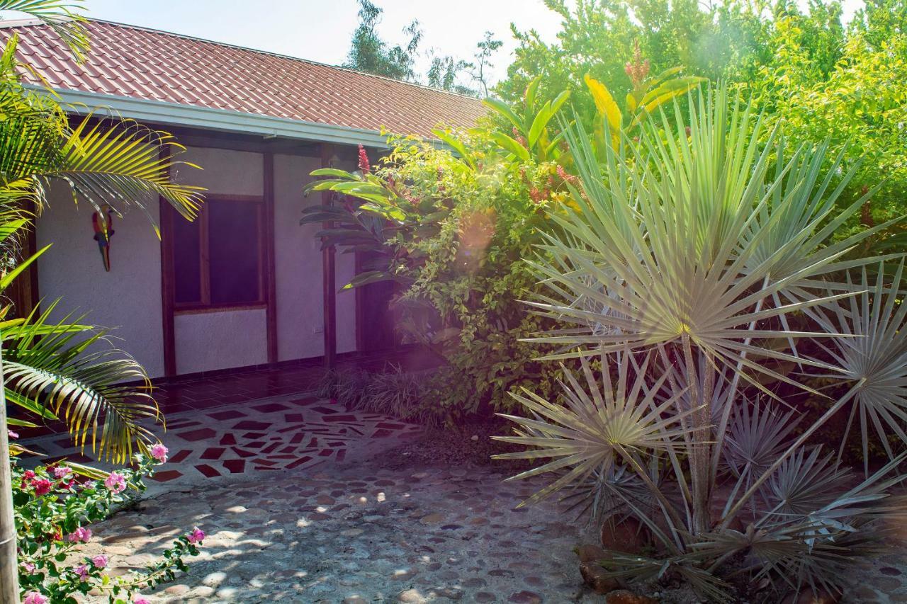 Hostal El Ruby Villavieja Eksteriør bilde